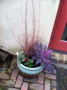 close up ofwinter container garden at rear entryway