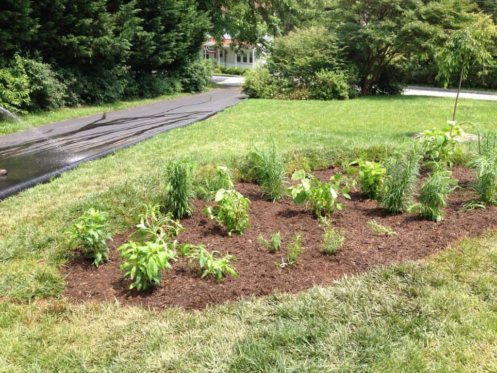 Elkridge Rain Garden