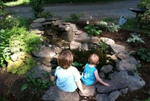 Pond Installation