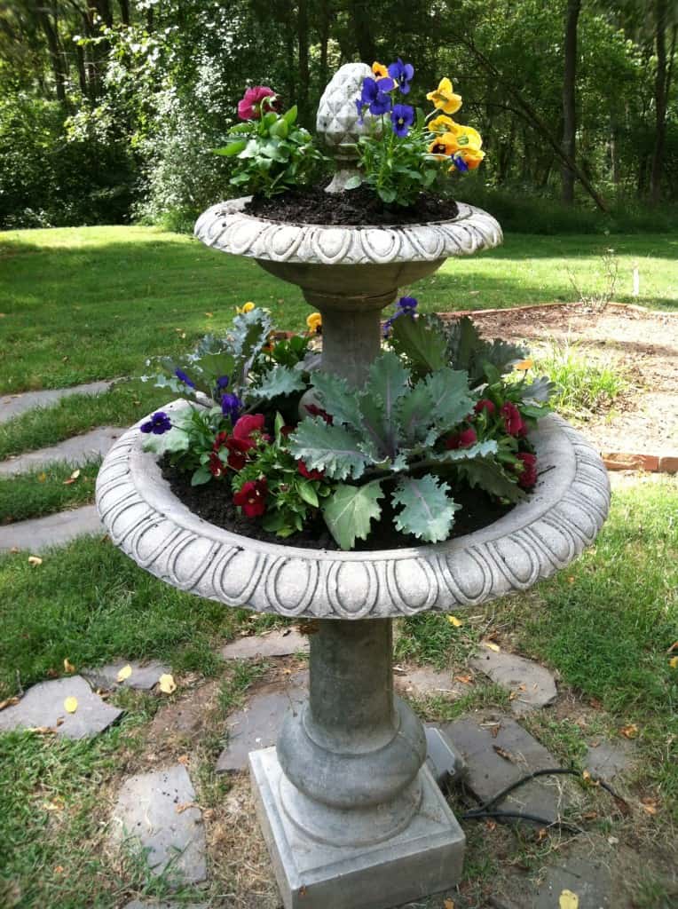 Container Gardens are Great for Adding Character to Small Spaces