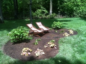 Newly Planted Relaxing Garden After