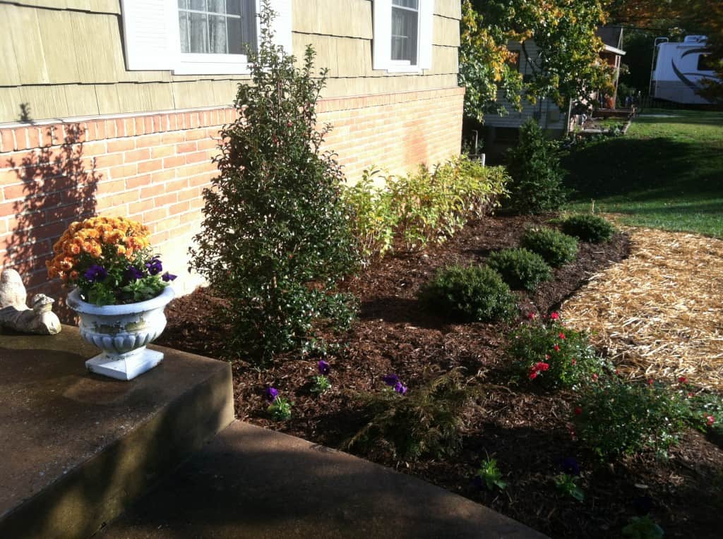 Low Maintenance Landscape