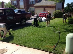 Choosing the shape of the bed by laying the curve with a hose until it looks great