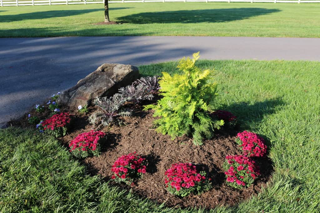 Entrance beds and seasonal annuals