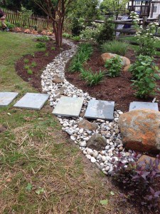 New native backyard garden, drainage and walkway