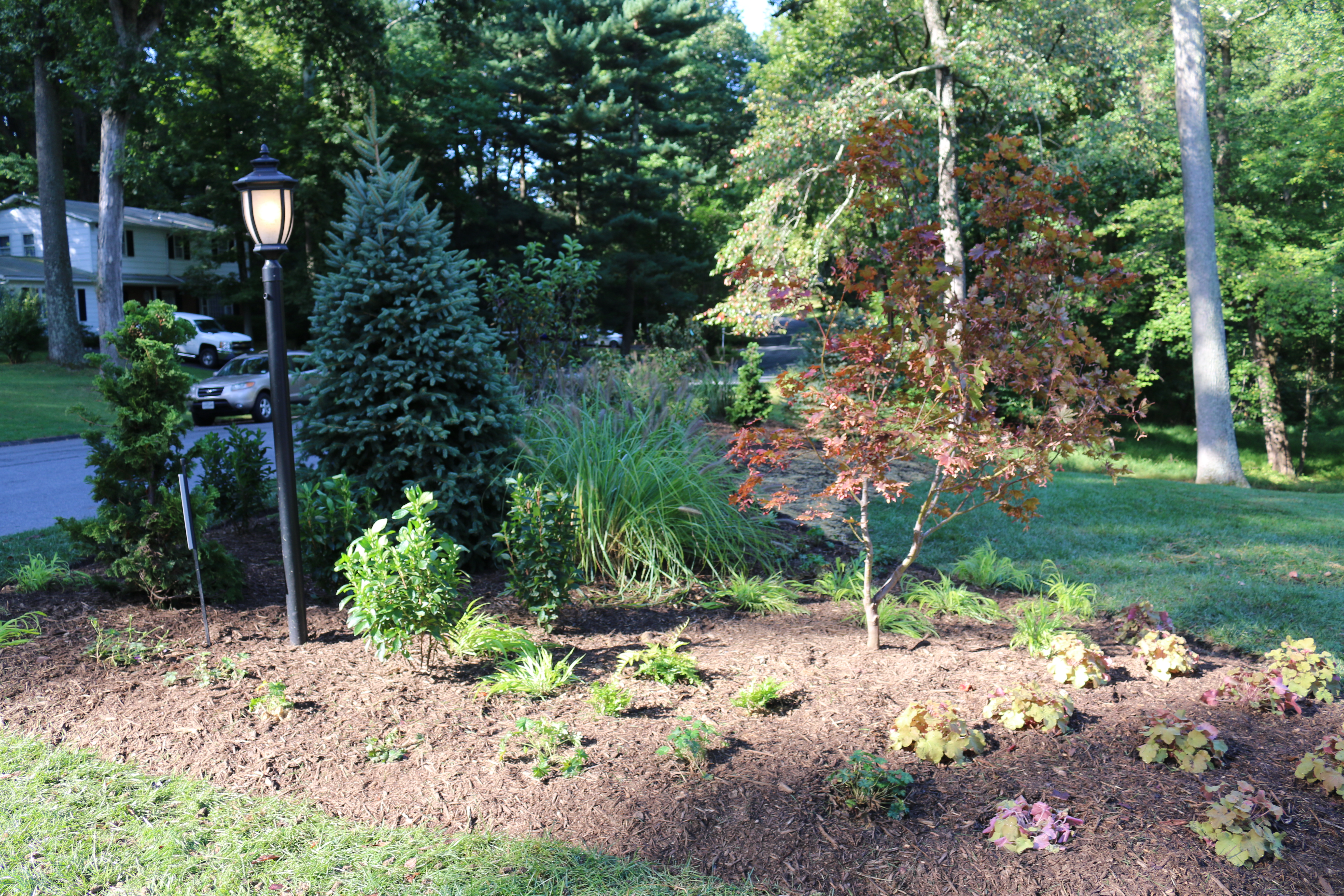 Native Wildlife Privacy Border