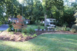 Native Wildlife Privacy Border 