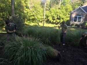 Crew Members Removing Grass for a New Privacy Border