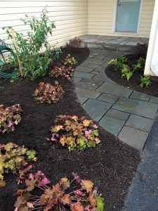 Custom Cut Curvy Bluestone Walkway