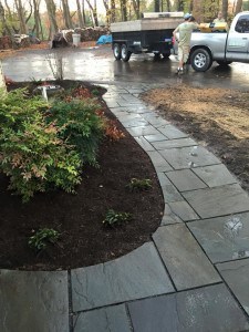 Custom Cut Curvy Bluestone Walkway