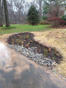 Blue Stone Rain Garden