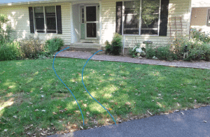 Custom Cut Curvy Bluestone Walkway