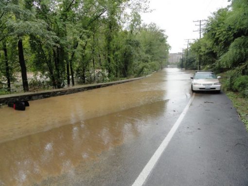 Stormwater - Landscape Design, Installation, Maintenance and Native ...