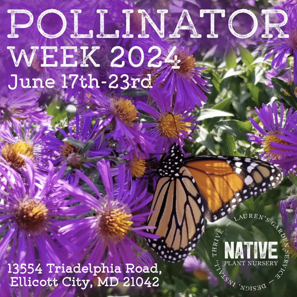 Pollinator Week 2022 Banner