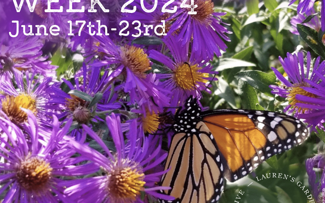 Pollinator Week 2024 at Lauren’s Garden Service and Native Plant Nursery