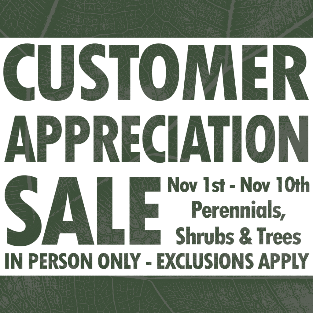 Customer Appreciation Sale November 2024