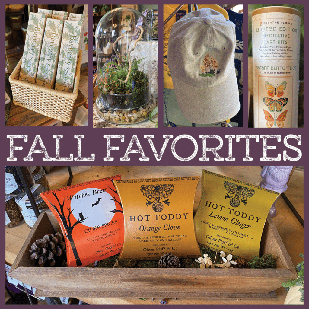 Cultivate Fall Favorites November LGS