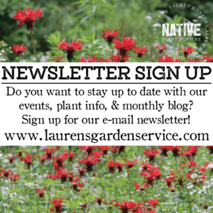 Newsletter Sign up Social