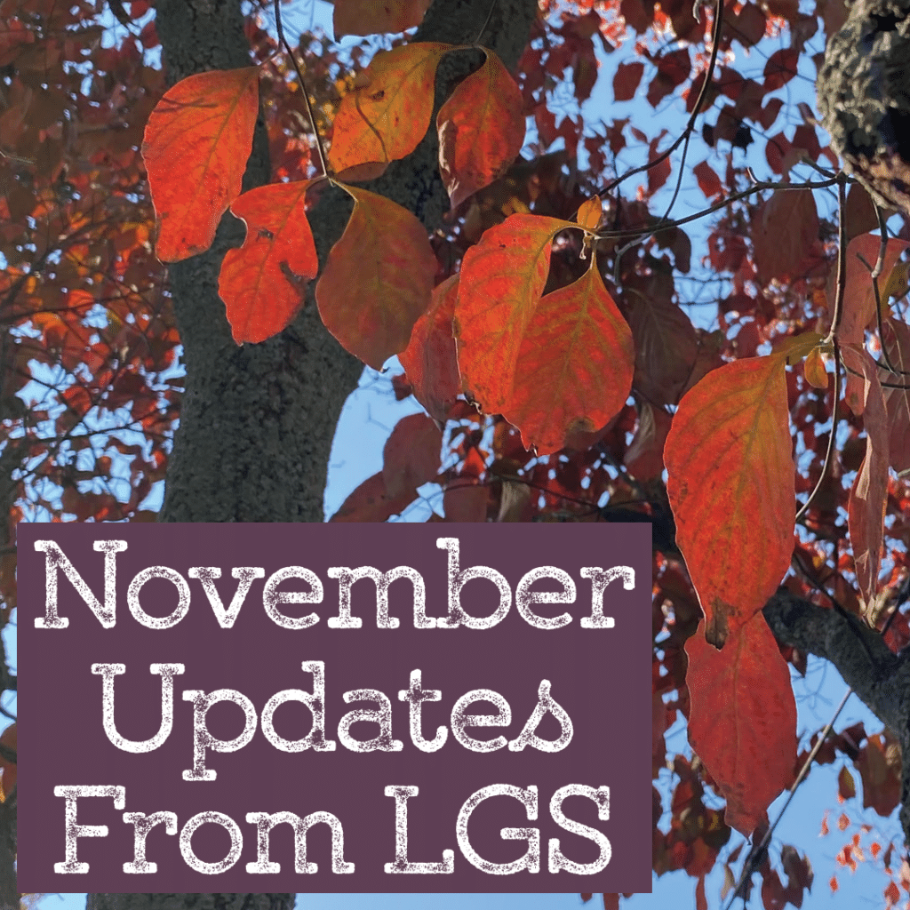 November Updates from LGS