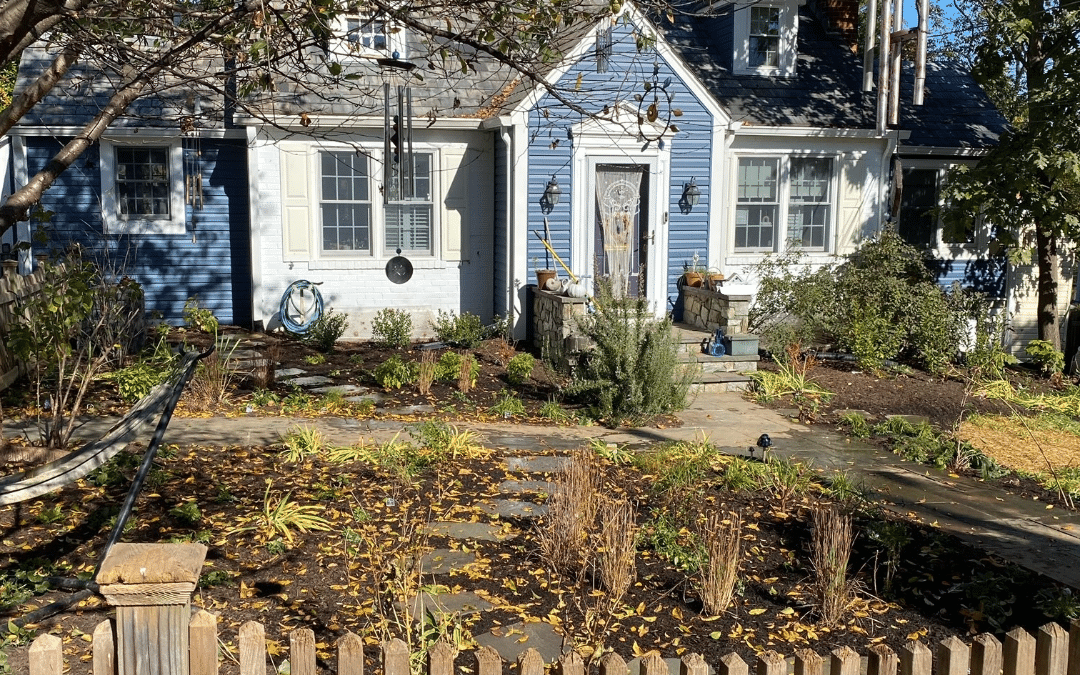 From Chaos To Calm! Native Plant Front Yard Makeover In Bethesda, MD