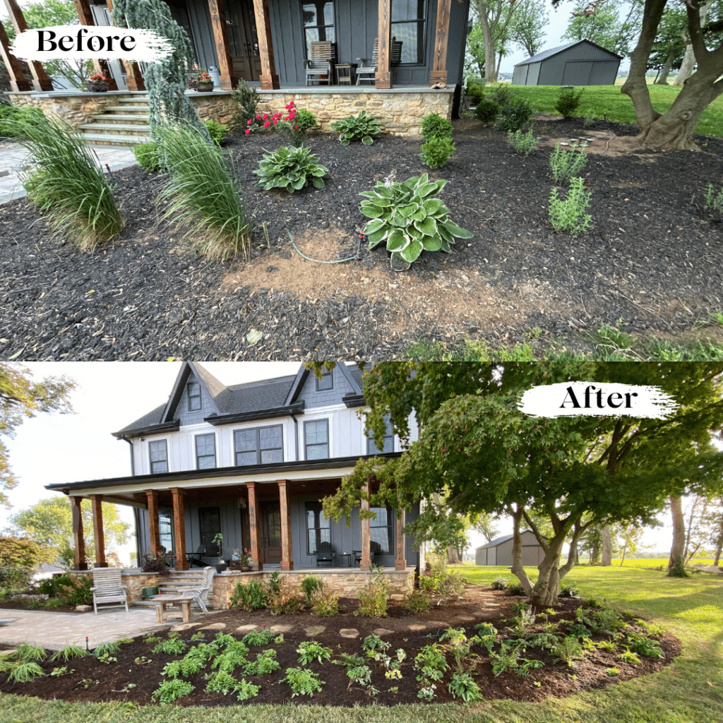 Native Plant Front Foundation Redo Woodbine MD