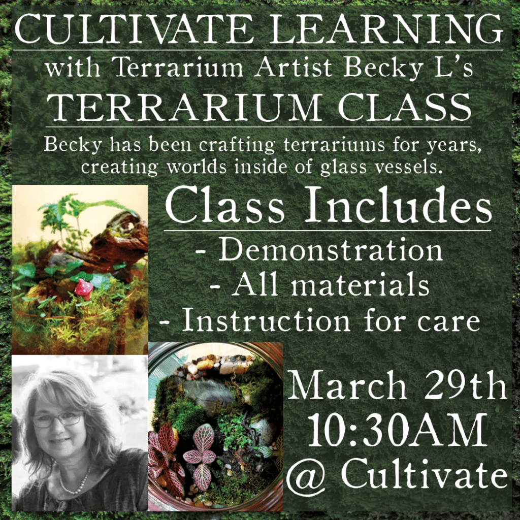 Terrarium Class